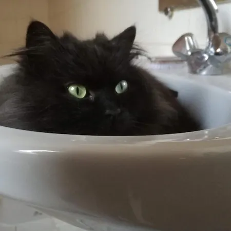 Champagne 住宿加早餐酒店 3*