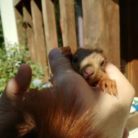 住宿加早餐酒店 Champagne 特鲁瓦