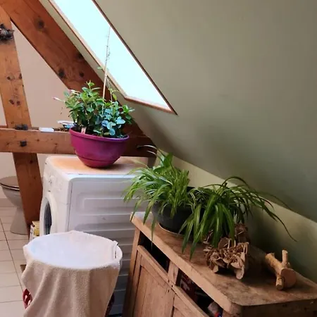 Champagne 住宿加早餐酒店 特鲁瓦