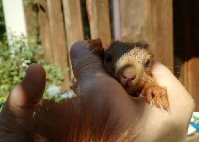 Frühstückspension Champagne Troyes